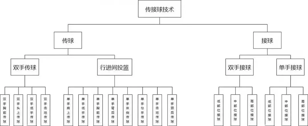 青少年篮球爱好者参加试训的好处_2